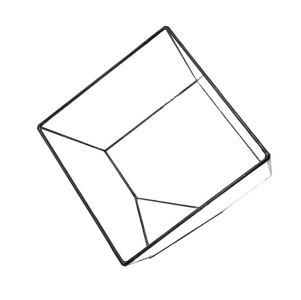 15 x 15 cm - Terrarium mieten 