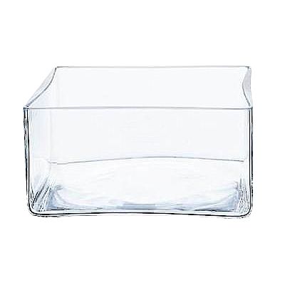 Glasschale B25 x T25 cm