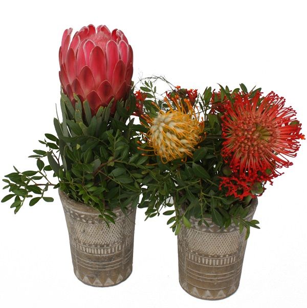 Arrangement AfricanDinner