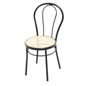 Bentwood Chair Outdoor