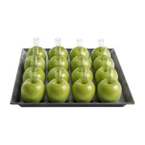 Apple Green Centerpiece Set mieten