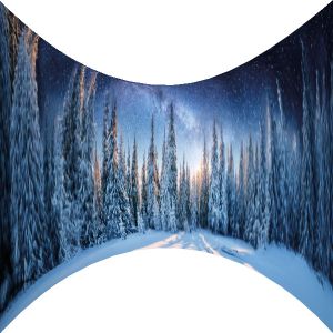 Motivbanner Winterwonderland mieten