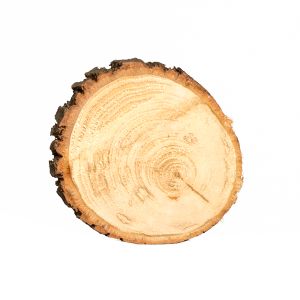 Baumscheibe Untersetzer mieten - D 18 cm