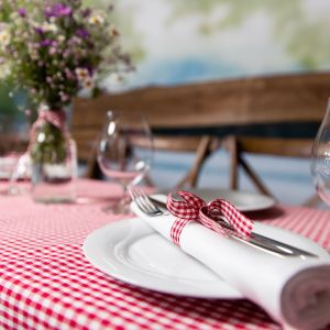 Serviette - Gartenparty Dekobox Verleih 