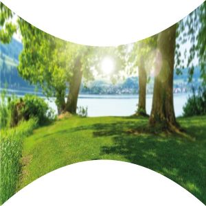 Seeblick Motivbanner mieten