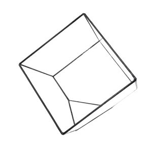 15 x 15 cm - Terrarium mieten 