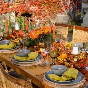 ThanksGiving Party