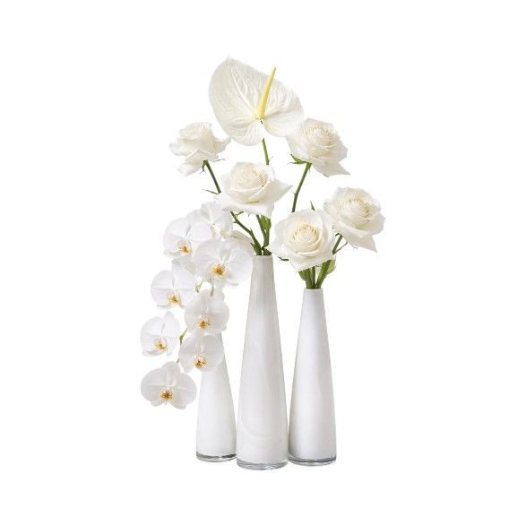 Arrangement Black & White