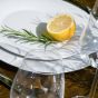 Vorspeisenteller und Menüteller - 2 teiliges Savoy Tellerset mieten