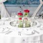 Platzteller Kristall - 4 teiliges Zylindervasen Set mieten