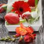 Asian Spring Dekobox Verleih Blueten