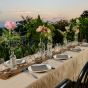 Bentwood Chair Outdoor