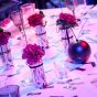 Glasset Provence - Bombenstimmung Centerpiece Set mieten