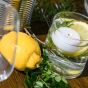 Citrus Kick Dekobox Verleih Windlicht