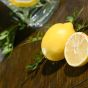 Citrus Kick Zitrone Dekobox Verleih