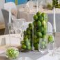Glaszylinder - Deko-Limette mieten D 5,5 cm