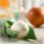Tulpe - EierSpass Dekobox Verleih 