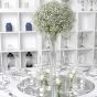 Glasset Style - Flöte Mirror Centerpiece Set mieten