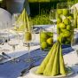 Servietten - Fresh Celebration Dekobox Verleih 