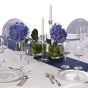 Menüteller Savoy - Fresh Celebration Dekoset mieten