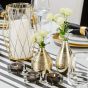 Gold´n´Stripes