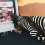 Plaid Zebra B200 x T150 cm