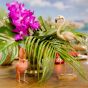 Accessoire-Set Karibic Party