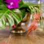 Accessoire-Set Karibic Party