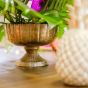 Accessoire-Set Karibic Party
