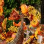 Herbstdeko - Rebenschiffchen mieten 