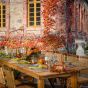 ThanksGiving Party