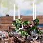 Glasset Style - Weidmanns Lust Centerpiece Set mieten