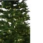 Weihnachtsbaum mieten LED Beleuchtung