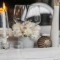 Vase Swing - White Christmas Centerpiece Set mieten