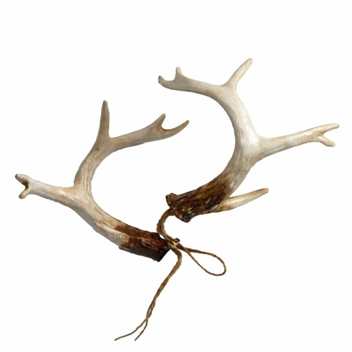 2 teiliges Geweih-Set mieten B 14 cm