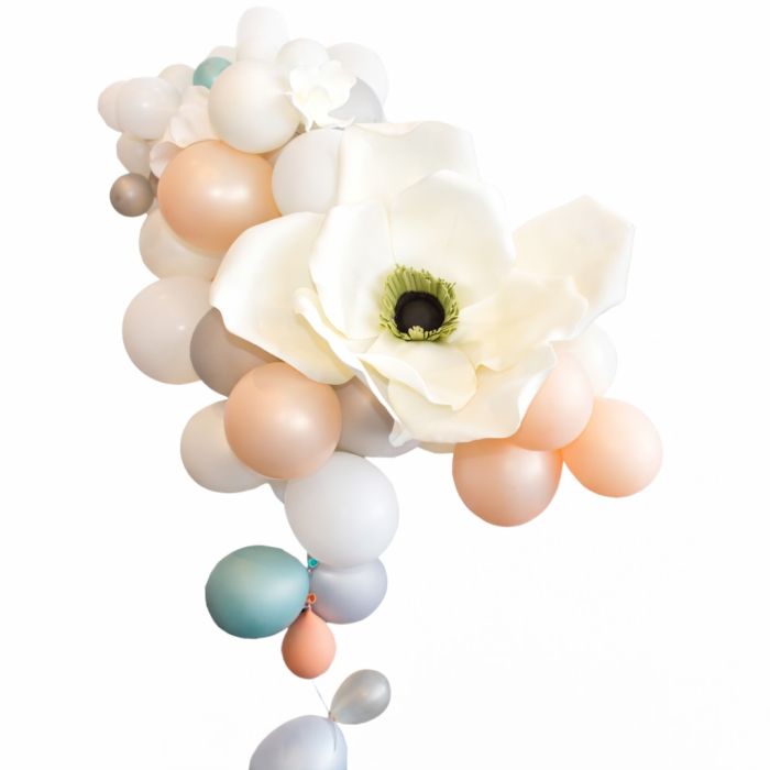 Blüten-Ballontraube mieten