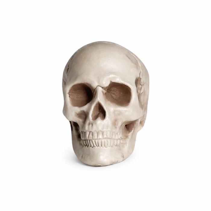 Deko Schädel mieten